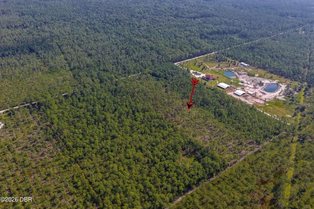 An aerial view shows a large, wooded lot with a red arrow pointing toward trees — 00 NINEMILE POINT ROAD, PIERSON, FL