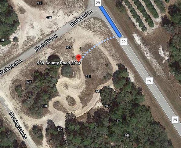 This is a satellite map view showing a dirt track on a wooded lot — 939 COUNTY ROAD 29, LAKE PLACID, FL