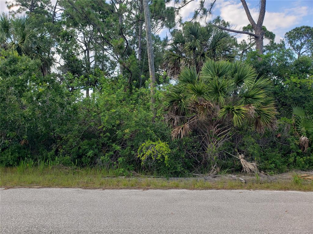 A view of a wooded, undeveloped lot with dense vegetation and palm trees from a road — 18106 SICILY AVENUE, PORT CHARLOTTE, FL