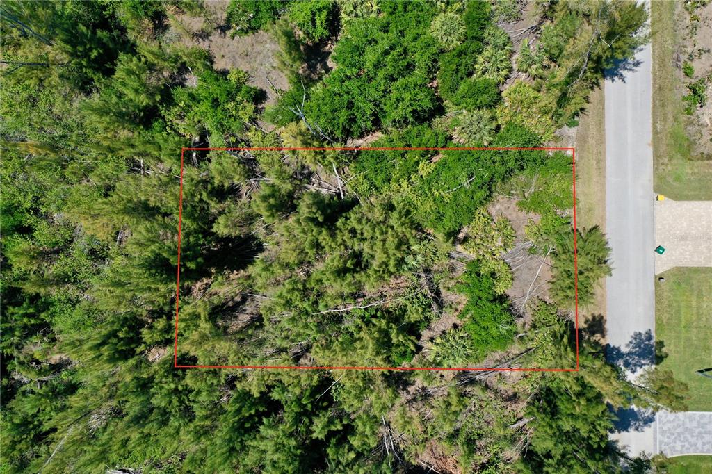 An aerial view shows a rectangular, wooded vacant lot adjacent to a paved road — 8401 ANTWERP CIRCLE, PORT CHARLOTTE, FL