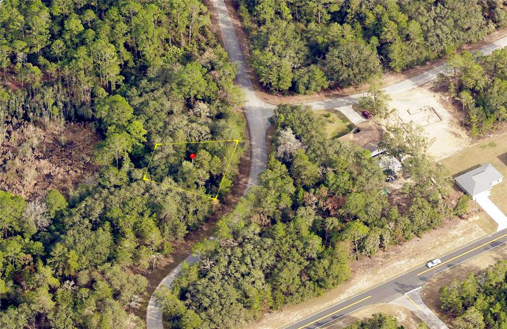 An aerial view shows a wooded, undeveloped lot outlined in yellow next to a paved road — 76 FISHER RUN TERRACE, OCKLAWAHA, FL