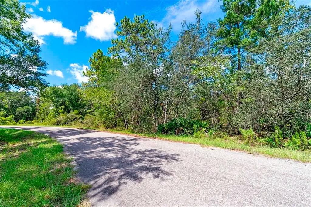 A paved road curves past a wooded lot with dense trees and green vegetation — 76 FISHER RUN TERRACE, OCKLAWAHA, FL