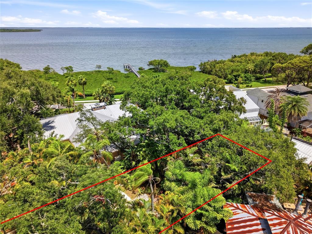An aerial view shows a lush, tree-filled residential lot outlined in red near the water — Lot 14 E MARSHALL STREET, SAFETY HARBOR, FL