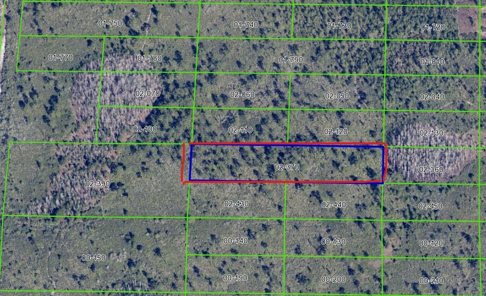 This is an aerial map showing a highlighted rectangular parcel of land among other lots — DILL ROAD, ORLANDO, FL