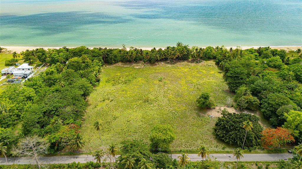 An aerial view shows a large, grassy vacant lot situated between a road and the ocean — COMM. PLAYA, CARR. 401 KM. HM 1.9, ANASCO, PR