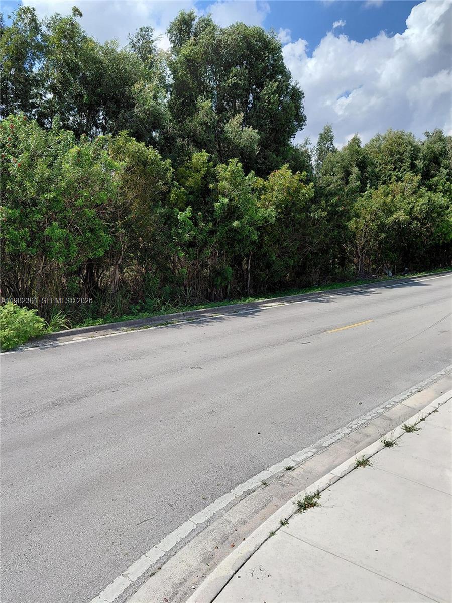 A paved road runs alongside a dense line of trees and shrubs — 168xx 45th st, Miami FL 33185, MIAMI, FL