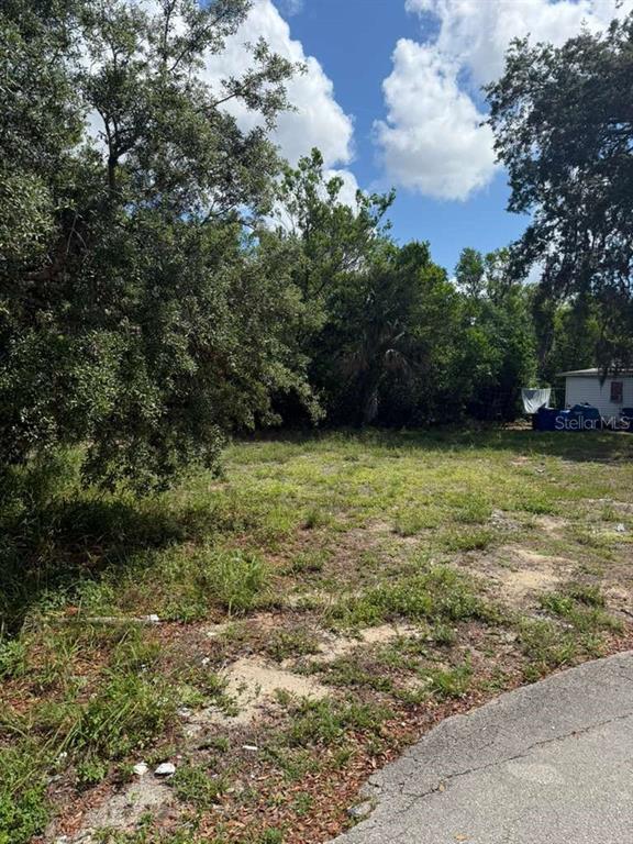 A vacant, grassy lot is bordered by mature trees and a small building in the distance — 4818 2ND STREET, SEBRING, FL