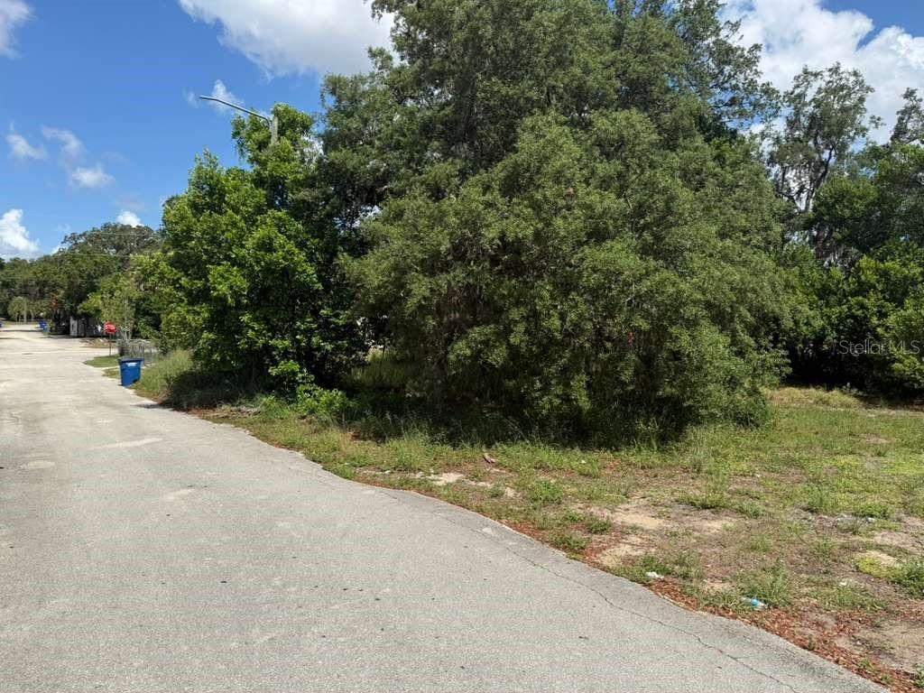 A paved road runs alongside a vacant, tree-covered lot under a blue sky — 4818 2ND STREET, SEBRING, FL