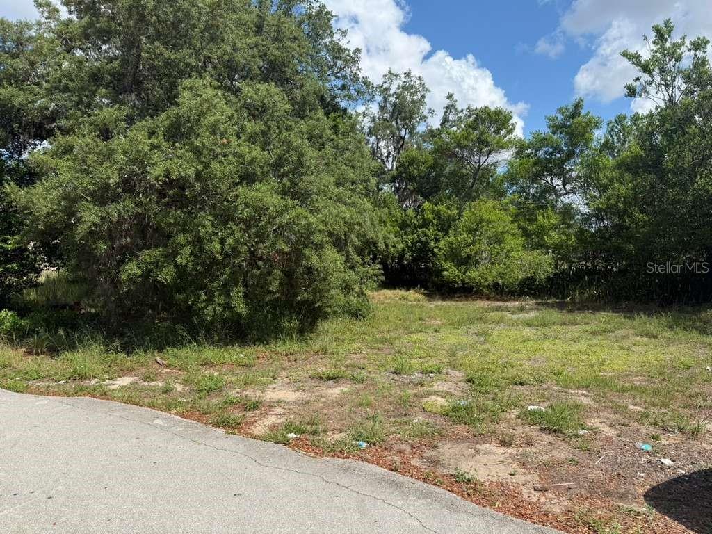A vacant, grassy lot with mature trees sits adjacent to a paved road — 4818 2ND STREET, SEBRING, FL