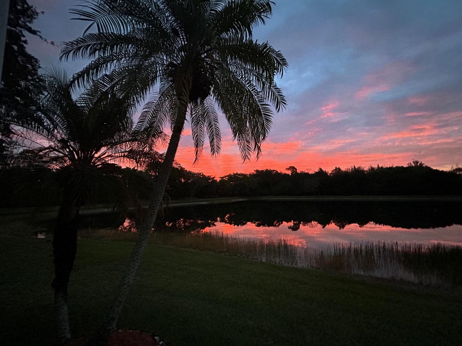 A vibrant sunset glows over a calm lake behind two palm trees in a yard — 5690 Saddle Trail Lane, Lake Worth FL 33449, LAKE WORTH, FL