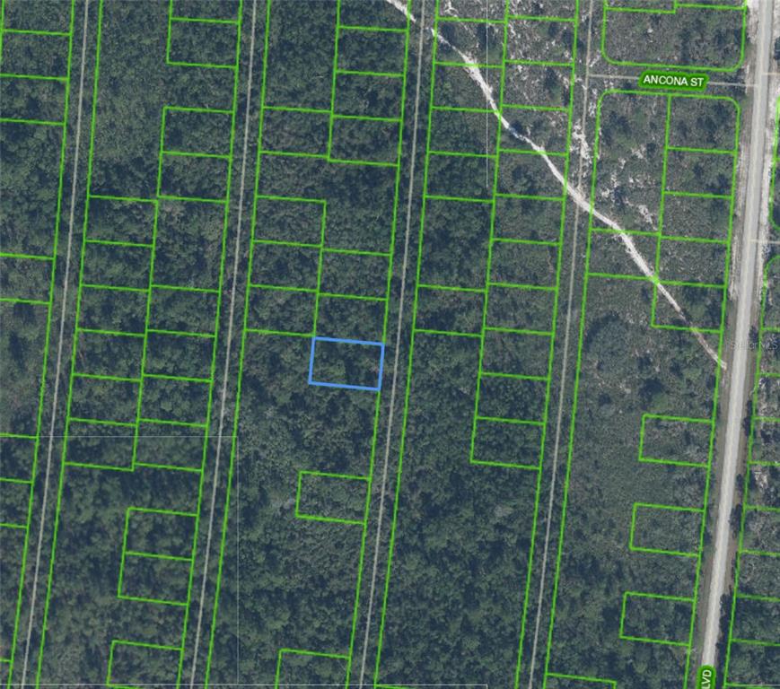This is an aerial map showing a vacant rectangular lot highlighted in blue among wooded parcels — 6593 PALANCIA DRIVE, SEBRING, FL