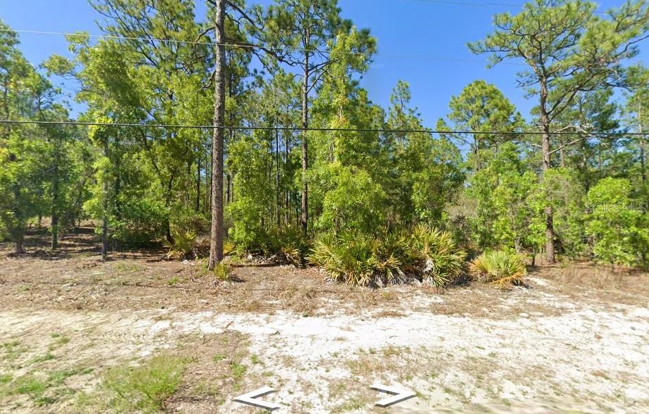 A wooded lot with sandy ground and scattered palmetto bushes under a clear blue sky — 5593 W CISCO STREET, BEVERLY HILLS, FL