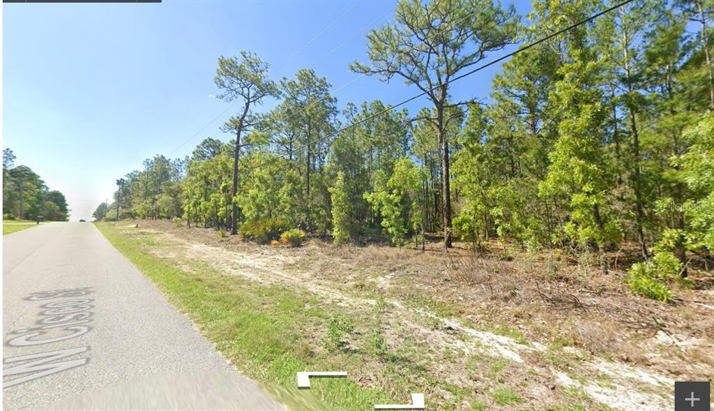 A paved road runs alongside a vacant, wooded lot with sandy ground and pine trees — 5593 W CISCO STREET, BEVERLY HILLS, FL