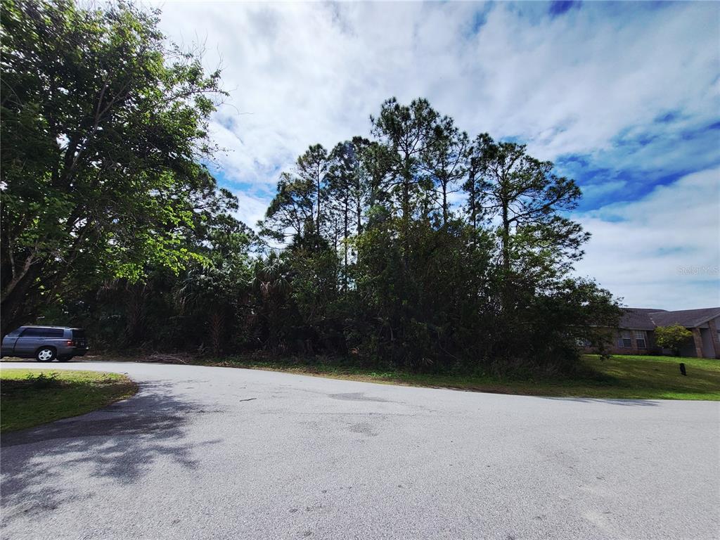 A paved road curves in front of a wooded lot with tall pine trees — 1720 LANTANA COURT NW, PALM BAY, FL