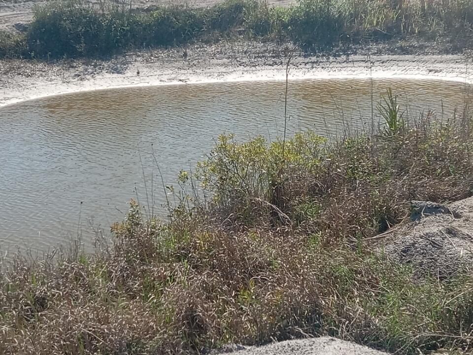 A small, natural pond is surrounded by dry, grassy vegetation and sandy soil — 16058 NW 290th Street, Okeechobee FL 34972, OKEECHOBEE, FL