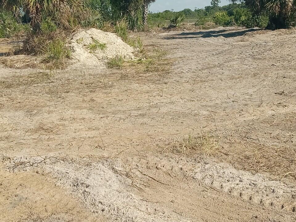 A sandy, cleared lot with sparse vegetation and a small pile of dirt — 16058 NW 290th Street, Okeechobee FL 34972, OKEECHOBEE, FL