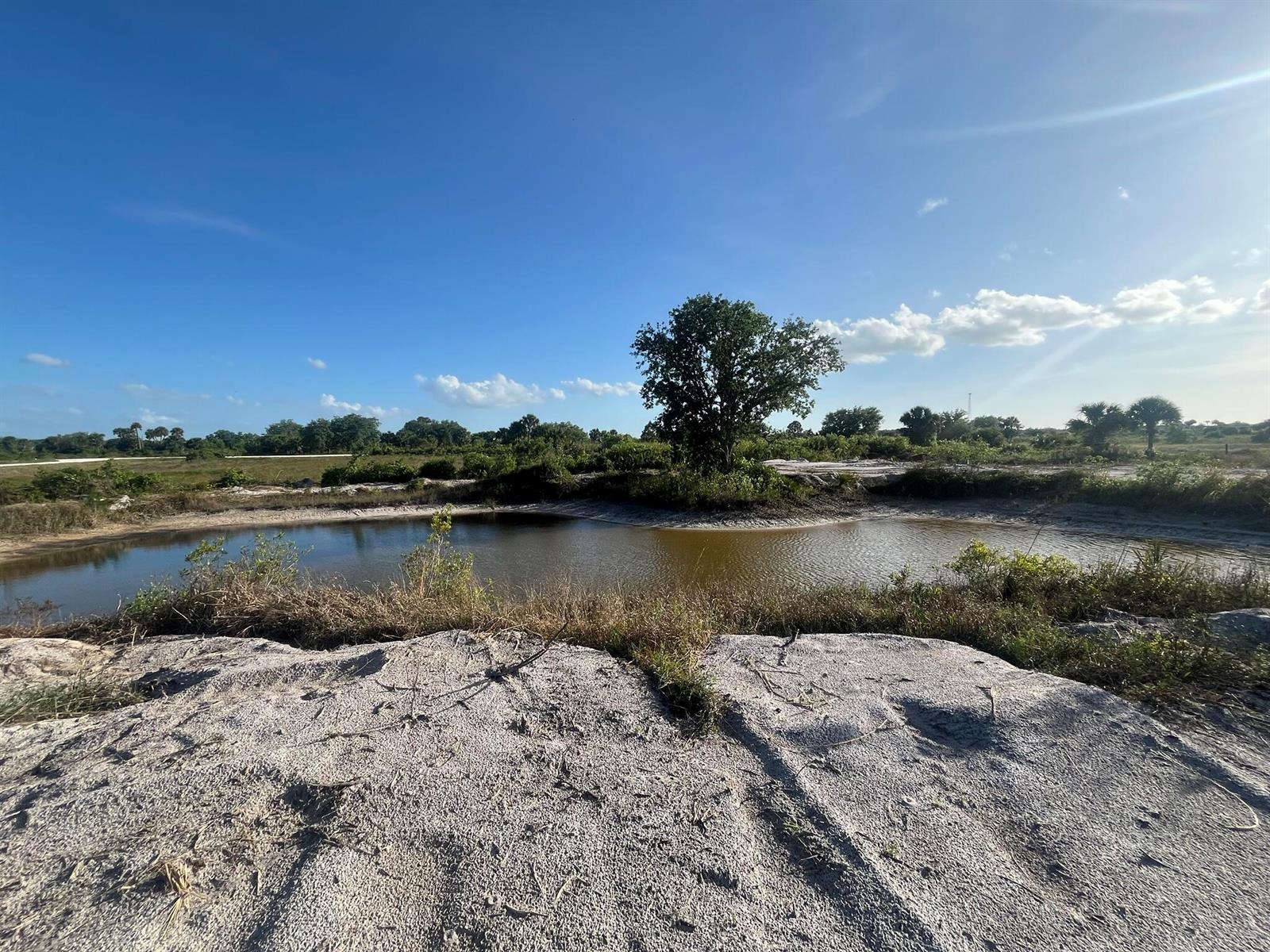 A small pond sits in a sandy, open landscape with a single large tree nearby — 16058 NW 290th Street, Okeechobee FL 34972, OKEECHOBEE, FL
