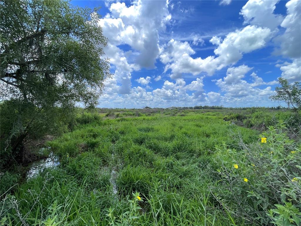 A grassy, marshy field with a small stream under a bright, cloudy blue sky — WAUCHULA ROAD, MYAKKA CITY, FL