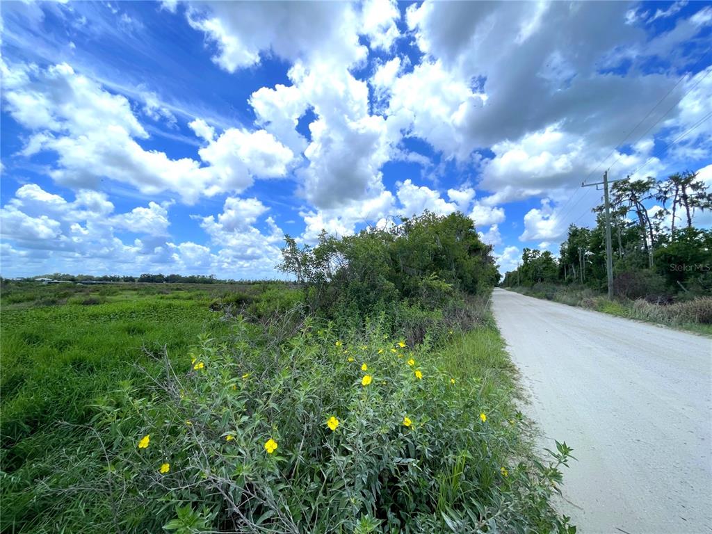 A dirt road runs alongside a grassy field with yellow wildflowers under a cloudy sky — WAUCHULA ROAD, MYAKKA CITY, FL