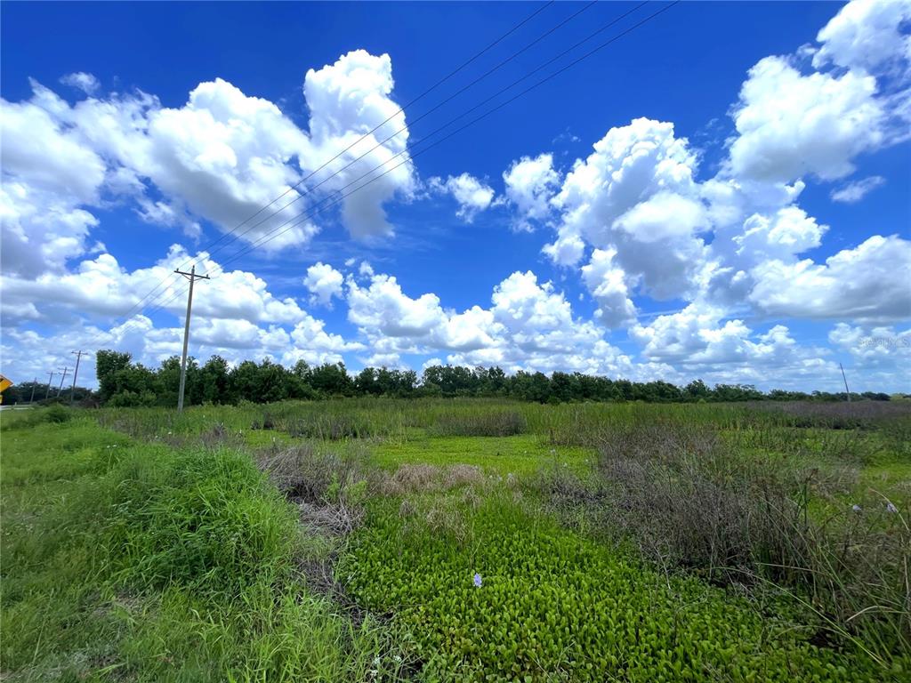 A grassy, marshy field under a bright blue sky with large, puffy white clouds — WAUCHULA ROAD, MYAKKA CITY, FL