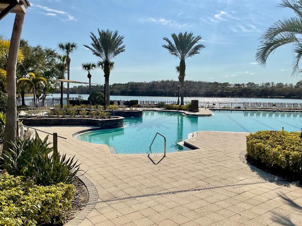 A swimming pool with a stone deck overlooks a lake surrounded by palm trees — 11201 GREEN PARK CIRCLE, TAMPA, FL