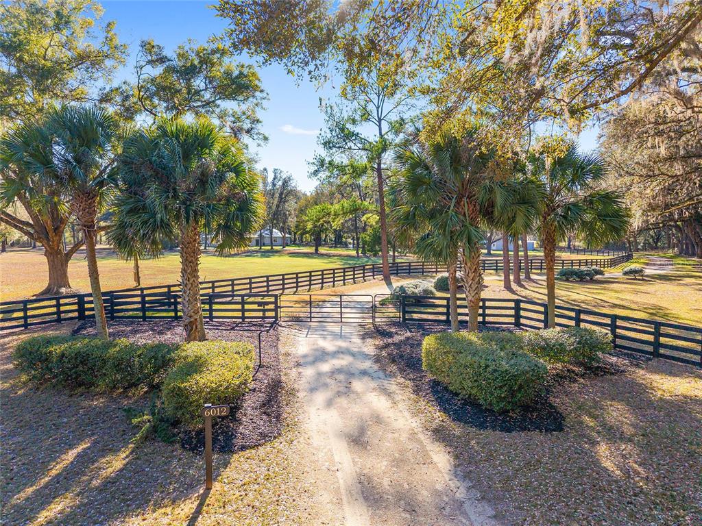 A dirt driveway leads through a metal gate into a fenced, tree-lined grassy property — 6012 NW 168TH STREET, ALACHUA, FL