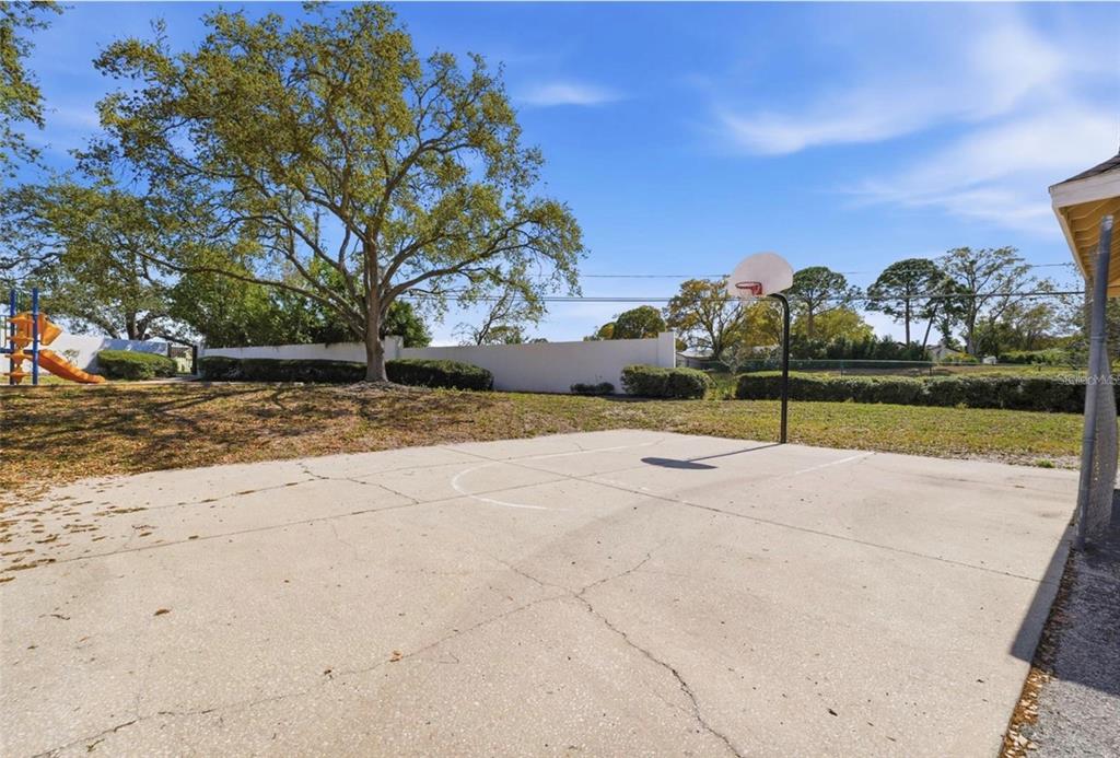 A concrete basketball court sits in a backyard with a large tree and playground equipment — 3274 HAVILAND COURT UNIT 201, PALM HARBOR, FL