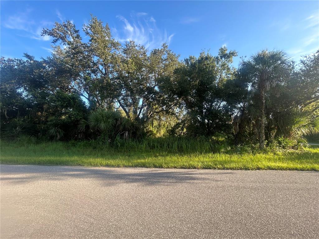 A paved road runs in front of a wooded lot with dense trees and vegetation — 18452 CORDOBA AVENUE, PORT CHARLOTTE, FL