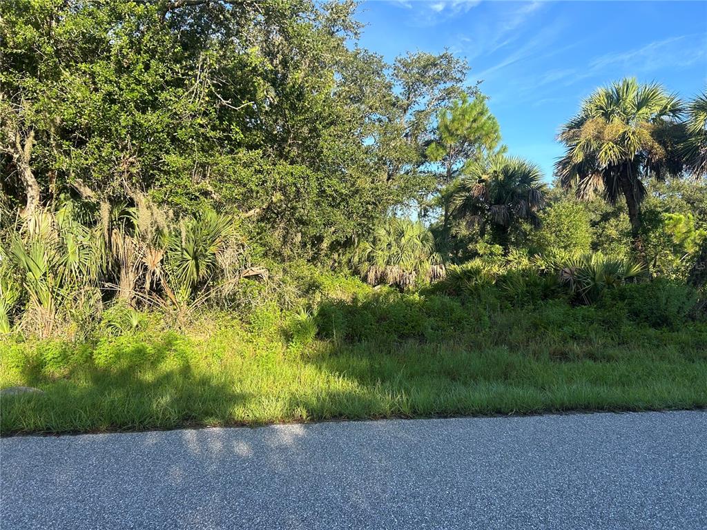 A view of a vacant, wooded lot with dense vegetation and palm trees along a road — 18452 CORDOBA AVENUE, PORT CHARLOTTE, FL