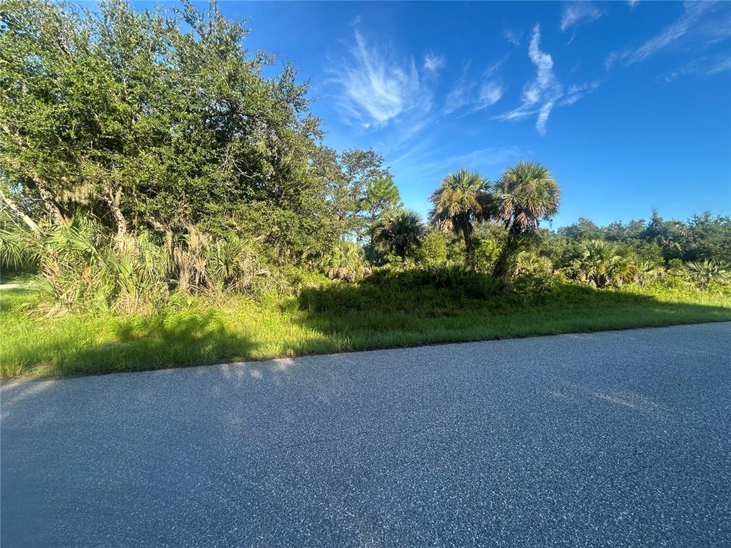 A paved road runs alongside a vacant, wooded lot filled with trees and palmettos — 18452 CORDOBA AVENUE, PORT CHARLOTTE, FL