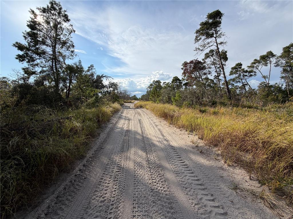 556 QUAIL AVENUE, SEBRING, FL — photo 3 of 3