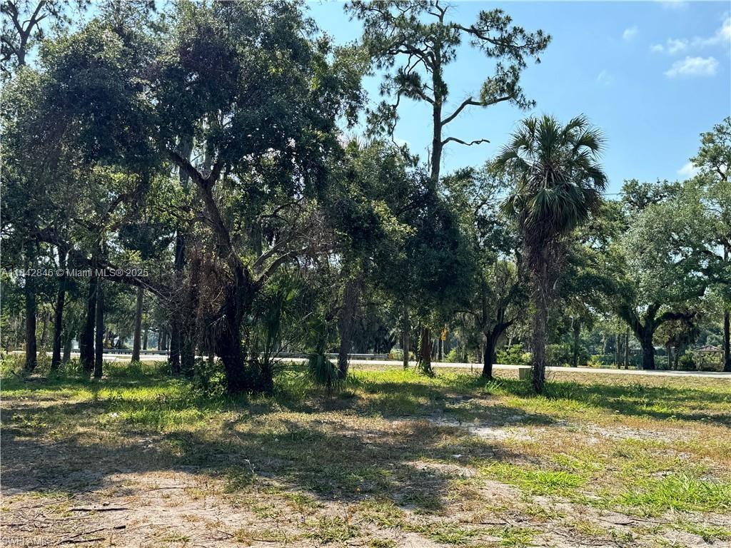A wooded lot with scattered trees and grass under a clear blue sky — 500 Avalon Ave, La Belle FL 33935, LA BELLE, FL