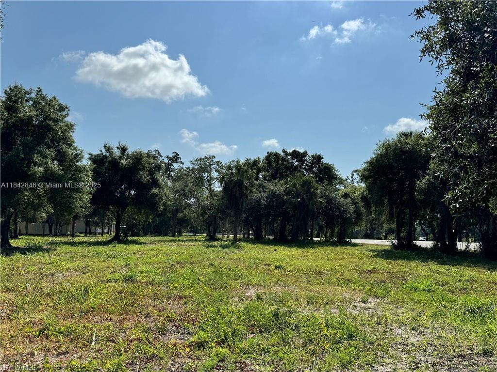 A grassy, undeveloped lot features scattered trees under a bright blue sky with clouds — 500 Avalon Ave, La Belle FL 33935, LA BELLE, FL