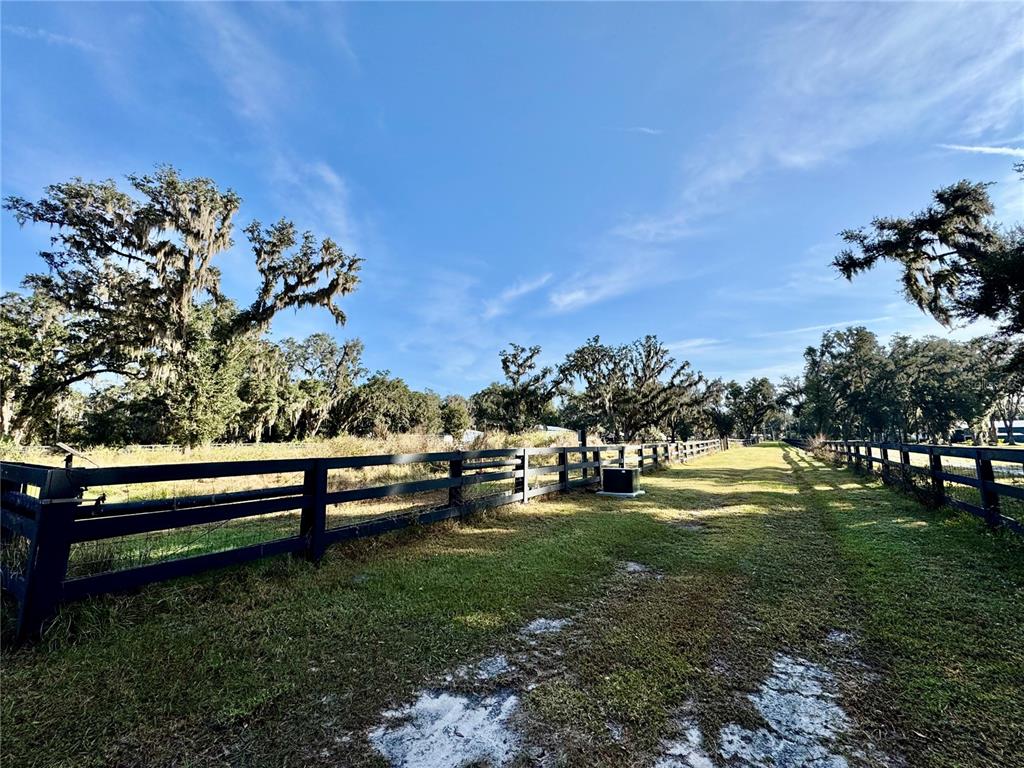 A grassy path runs between two black wooden fences under a clear blue sky — 2909 N WILDER ROAD, PLANT CITY, FL
