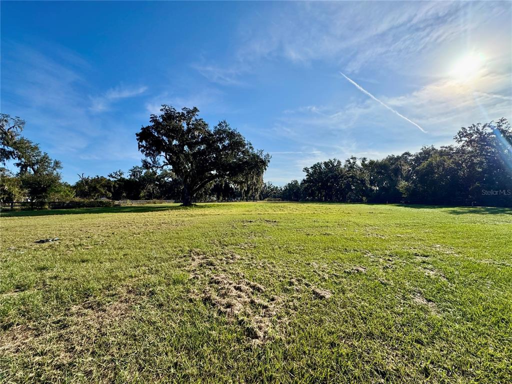 A large, grassy field features a prominent oak tree under a bright, sunny sky — 2909 N WILDER ROAD, PLANT CITY, FL