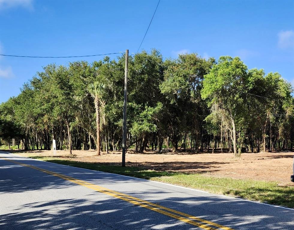A paved road runs alongside a cleared, wooded lot under a clear blue sky — 450A OLD GENEVA ROAD, GENEVA, FL
