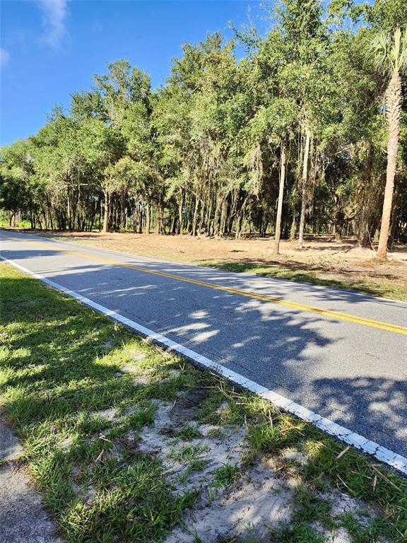 A paved road runs alongside a wooded lot with a white sign in the grass — 450A OLD GENEVA ROAD, GENEVA, FL