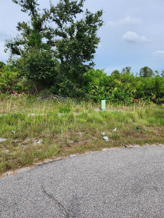 A vacant, grassy lot with a utility box and dense trees under a cloudy sky — 124 SMALLWOOD ROAD, ROTONDA WEST, FL