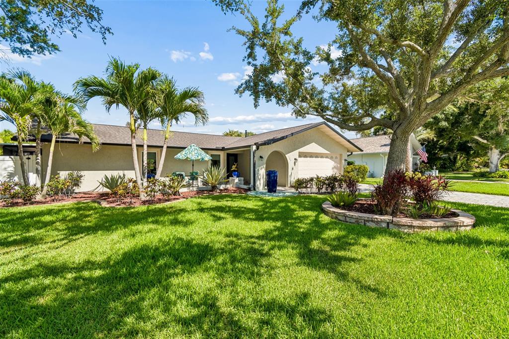 A single-story house with a lawn, palm trees, and a large oak tree in front — 725 DEL ORO DRIVE, SAFETY HARBOR, FL