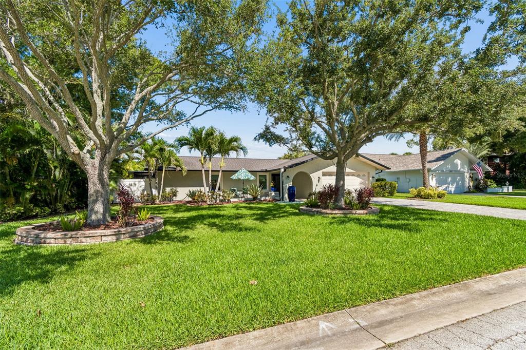 A single-story house with a lawn, mature trees, and a driveway under a blue sky — 725 DEL ORO DRIVE, SAFETY HARBOR, FL