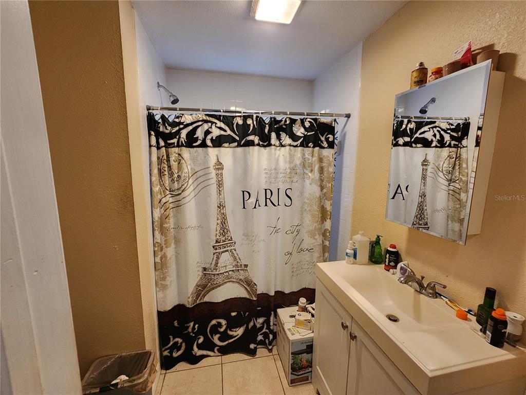 A bathroom features a Paris-themed shower curtain, a white vanity with a sink, and a mirror — 1710 MINNIE STREET, COCOA, FL