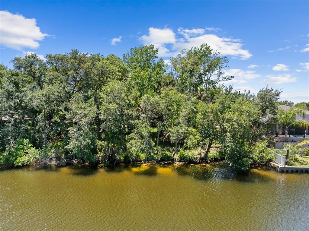 A view of a dense tree line bordering a calm body of water — 111 CIMMARON DRIVE, PALM COAST, FL