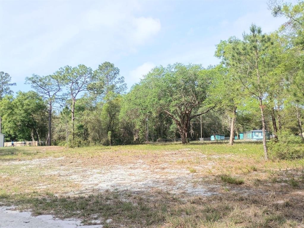 A flat, sandy, partially cleared residential lot surrounded by mature trees and neighboring structures — NE 141ST CT, FORT MC COY, FL