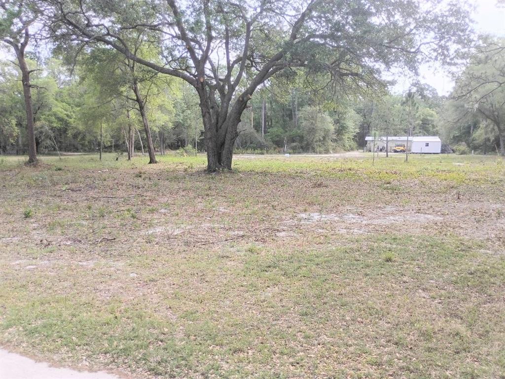 A large, grassy lot features a prominent oak tree and a small building in back — NE 141ST CT, FORT MC COY, FL