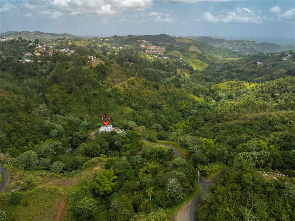 An aerial view shows a house with a red location pin nestled in a hilly landscape — Carr 814 KM.HM 4.0, NARANJITO, PR