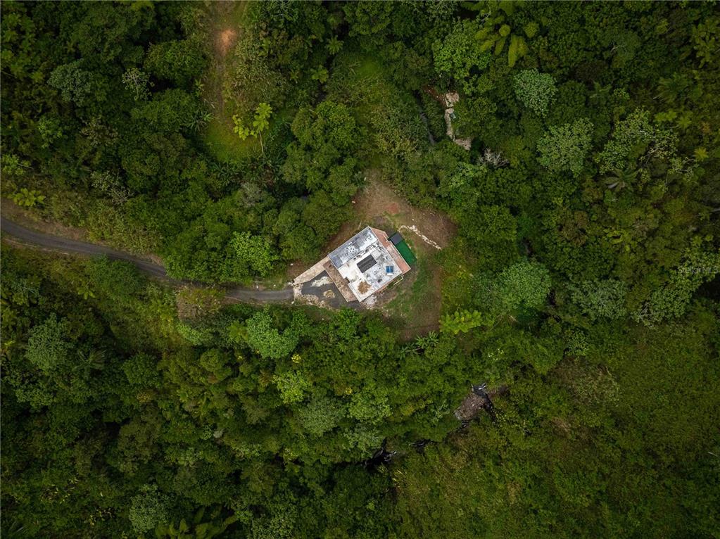 An aerial view shows a house with a flat roof nestled in a dense forest — Carr 814 KM.HM 4.0, NARANJITO, PR