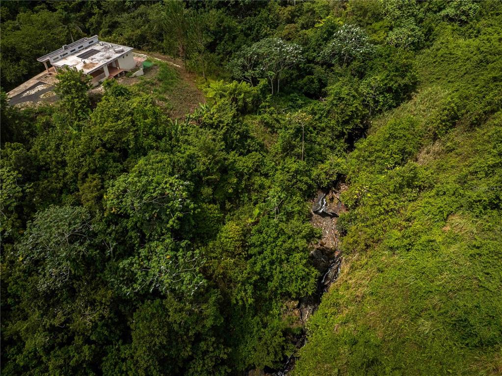 An aerial view shows a house situated on a hillside next to a forested ravine — Carr 814 KM.HM 4.0, NARANJITO, PR