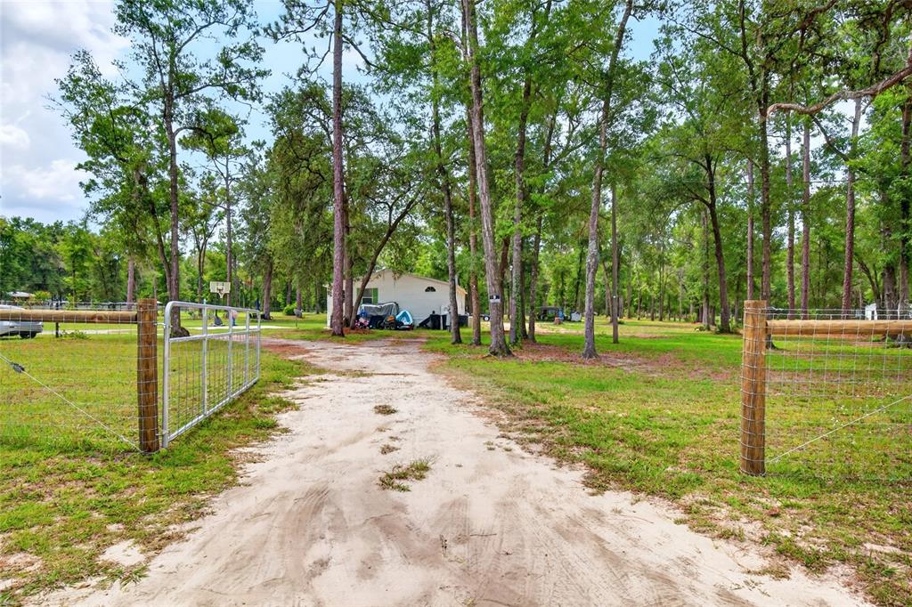 A dirt driveway leads through a metal gate toward a house surrounded by tall trees — 10890 NE 102ND PLACE, ARCHER, FL
