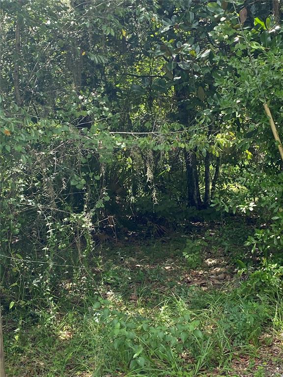 CR 448C, LAKE PANASOFFKEE, FL — photo 2 of 7
