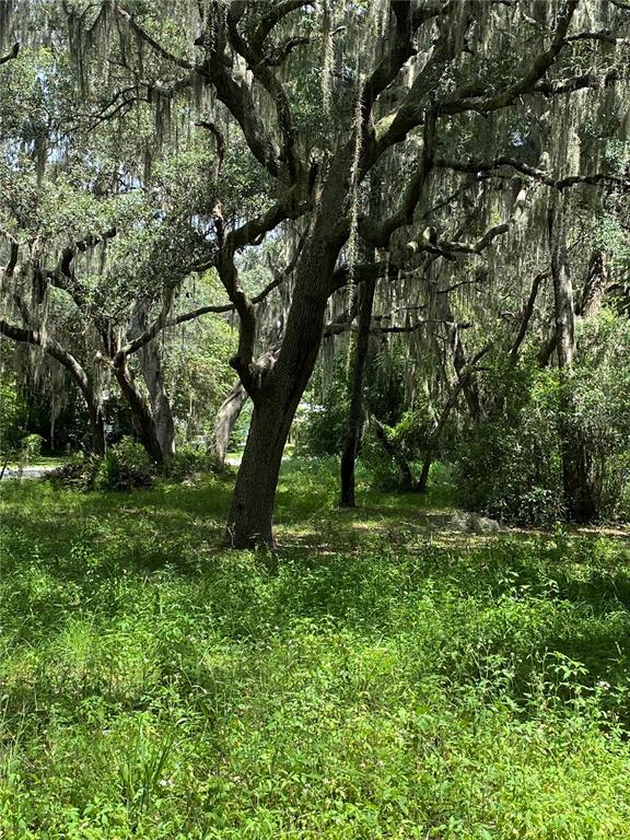CR 448C, LAKE PANASOFFKEE, FL — photo 4 of 7